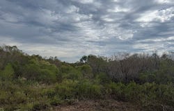 Texas 10 Spur, Rosenberg, TX 77471