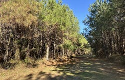 023 Barnes, Gordon, AL 36343