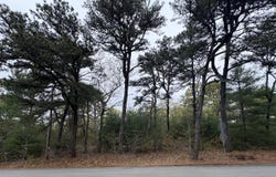 2 Carolines Way, Orleans, MA 02653