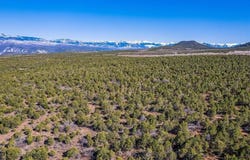 Pinion Ridge Road, Montrose, CO 81403