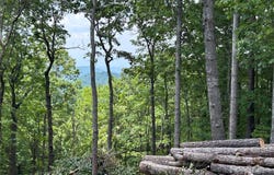 000 John Delk Road, Hendersonville, NC 28792