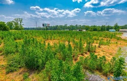 Hwy 231 Highway 231/431, Hazel Green, AL 35750