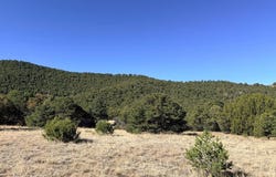 Lower Mines Rd, Walsenburg, CO 81089