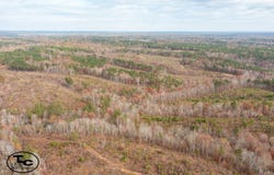 0 Steele Rd, Jasper, AL 35503