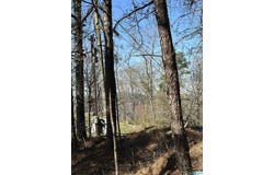 0 MOHAWK BLUFF DRIVE, OHATCHEE, AL 36271