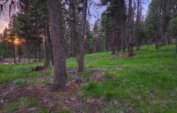 289 Seclusion Point, Seeley Lake, MT 59868