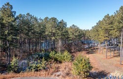 3739 Mill Mount Turn, Powhatan, VA 23139