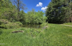 Dooley Hollow Rd, Ewing, VA 24248