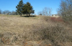 13778 Shannon Drive, Cement City, MI 49233