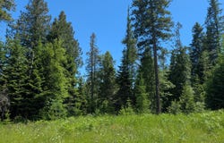 1193 Hidden Valley Rd, Sandpoint, ID 83864