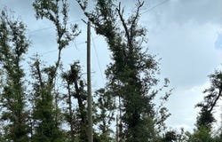 LOT13 DOWLING OAKS, Live Oak, FL 32060