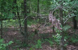 TBD County Road 74, Taylor, AR 71861