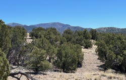 57 Cottonwood Trail, Sandia Park, NM 87047