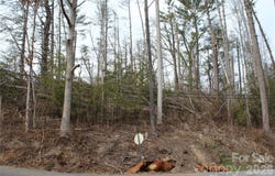 Monte Vista Circle, Spruce Pine, NC 28777