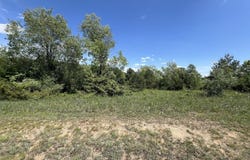Talon Trace, Bellaire, MI 49615