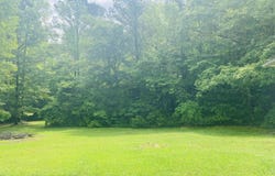 2590 CAMP BRANCH ROAD, WEST BLOCTON, AL 35184