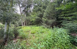 Lot 61 White Pine Trail, Suches, GA 30572
