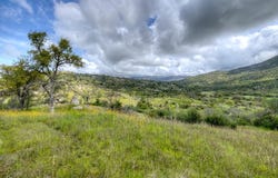 1 Pennyroyal Lane, Prather, CA 93651