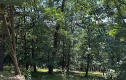 243 BLUFFS ON THE POTOMAC, ROMNEY, WV 26757