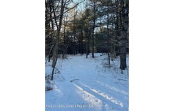 Lot 6 County Rte 51, Coxsackie, NY 12051