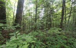 Parcel 088 AMARLEE Way, Sevierville, TN 37876