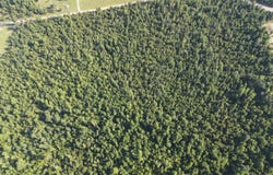 TBD NW Shuman Ferry Rd., Altha, FL 32421