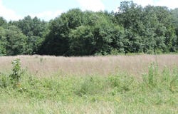 TBD Off Barto Rd, Waldron, AR 72958