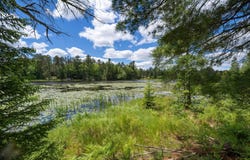 Off WATERSMEET LAKE RD, Eagle River, WI 54521