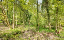 3618 Thornton Drive, Kingsport, TN 37664