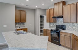 1916 Dragonfly Loop, Bastrop, TX 78602