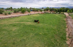 E Alma Ln W Pasture), Pima, AZ 85543