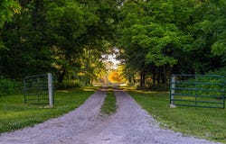 W Placer Lane, Willard, MO 65781