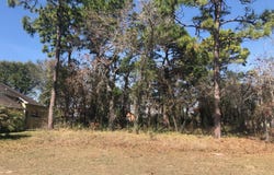 13363 Newcastle Avenue, Spring Hill, FL 34609