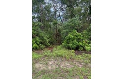 Tbd NW 97 COURT, CHIEFLAND, FL 32626