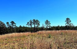 Riverfork Road, Waterloo, SC 29384