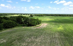 48Ac CR 2165, Klondike, TX 75440