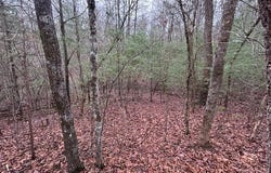Lot 12a Oak Loop, Mineral Bluff, GA 30559