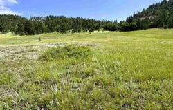 E1 Soaring Eagle Road, Hulett, WY 82720