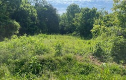 420 Blacks Ferry Rd, Burkesville, KY 42717