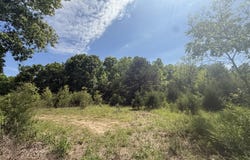 Bailey Road, Licking, MO 65542
