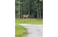 234 Oakledge Way, Milton, VT 05468
