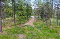 694 PALMER LN, CHEWELAH, WA 99109