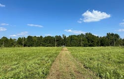 TBD An County Road 148, Lot 9, PALESTINE, TX 75803