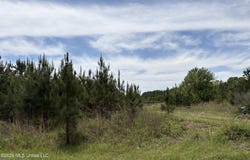 Finney Road, Canton, MS 39046