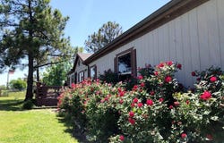 272 County Road 2062, Klondike, TX 75448
