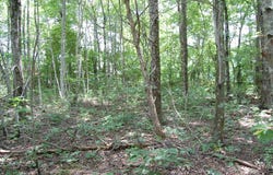 10 Laural Brook Road, Dunlap, TN 37327