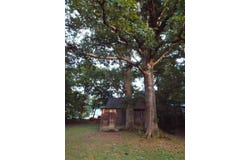 4244 Bradshaw RD, Salem, VA 24153