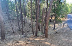 12000 Trapper, Groveland, CA 95321