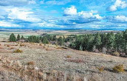 Tbd Over Yonder Road, CottonWood, ID 83522