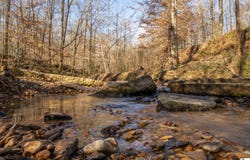 RODNEY ROAD, LORMAN, MS 39069